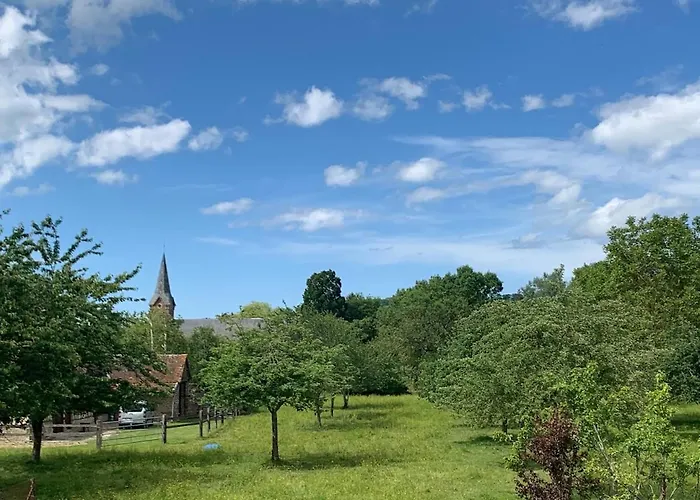 Casa vacanze Le Passiflore